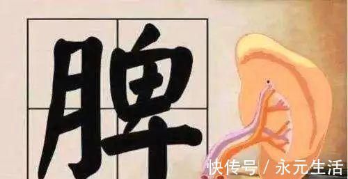 祛湿|松树根上有一物，被李时珍誉为“仙家上物”，4吃5不吃，值得注意