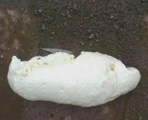 填缝|门窗全靠发泡胶固定?别逗了!这才是正确填缝,难怪你家漏风变形