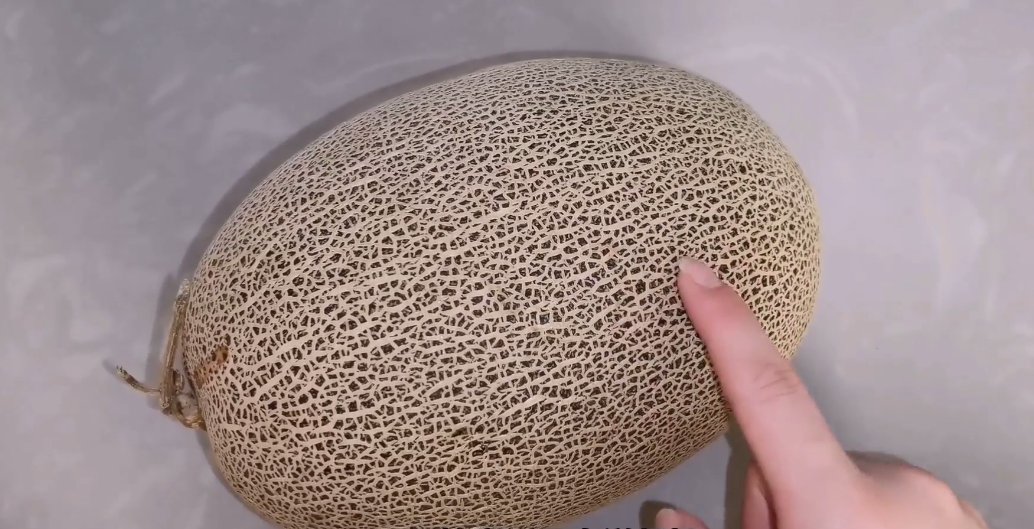 ¹þÃܹϼÒÀﻹÔÚ³ÔÂ𣿽ÌÄã±æ±ðºÃ»µ¹þÃܹϵÄÇÏÃÅ£¬Ñ§Ñ§