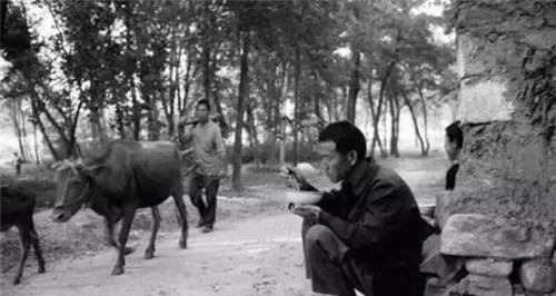 老祖宗|老祖宗的生意经:财不走急,富不去偏;穷不走南,富不去北