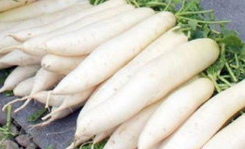 茴香菜|秋天养生很关键,多吃四种食物,滋养子宫,美容美颜,保护心血管