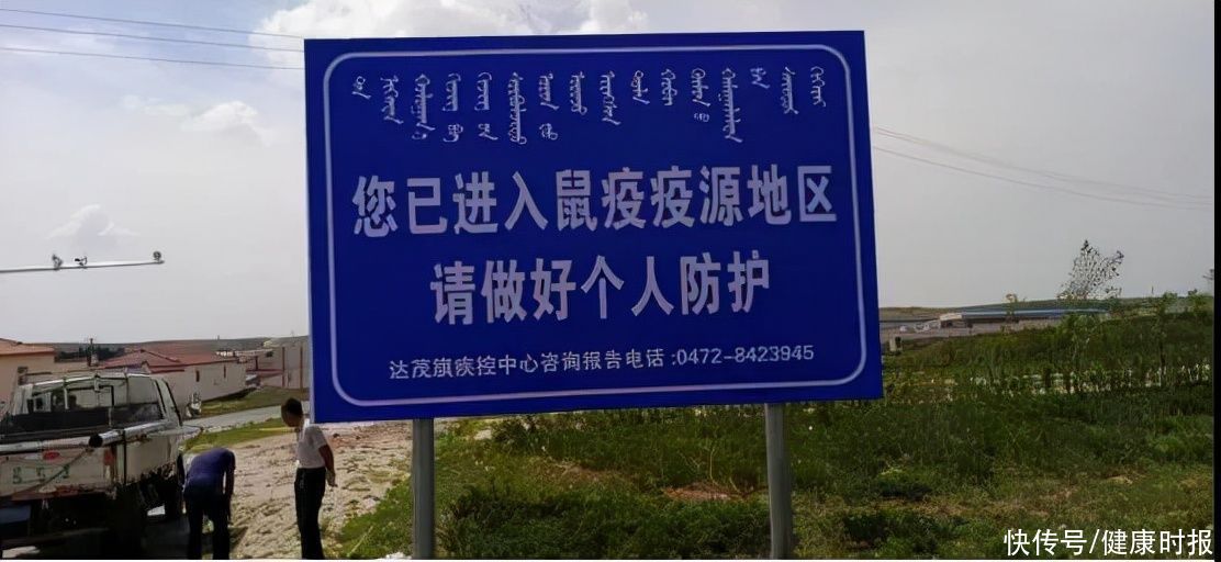 腺鼠疫|宁夏确诊一起腺鼠疫，会引起大范围感染吗？专家：腺鼠疫一般不会人传人