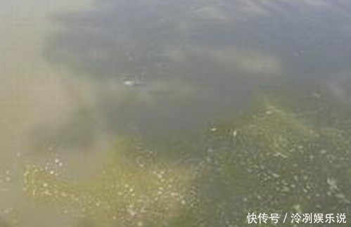 你知道鱼星是如何形成的吗?发现鱼星等于发现鱼,别错过