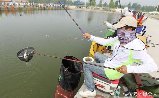 垂钓的钓竿|野钓,黑坑和竞技钓竿的核心在于垂钓特性---皇禾钓具