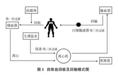 宫颈处|涨姿势，居然可以用自己的血救自己的命！？