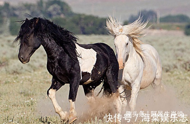 命运|生肖马4个季节4种命运，你什么季节出生，就是什么命！