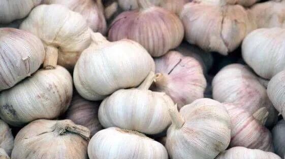 这种大蒜别买了,送你都不要带回家,家里有的快扔掉,快告诉家人