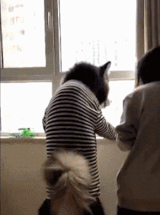 |搞笑趣图:有这样的媳妇,没法好好睡觉了