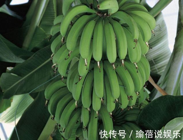 湿气|在夏天，三种水果要少吃，越吃湿气越重，可惜很多人不重视！