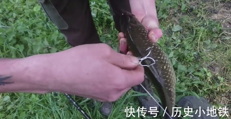 大鱼|男子用鲫鱼当诱饵，被朋友们嘲笑，最后钓到的鱼让朋友们闭了嘴