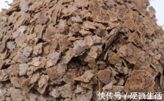 月季花|月季花最喜欢这三种肥,这个春夏花开满枝,就看它了!