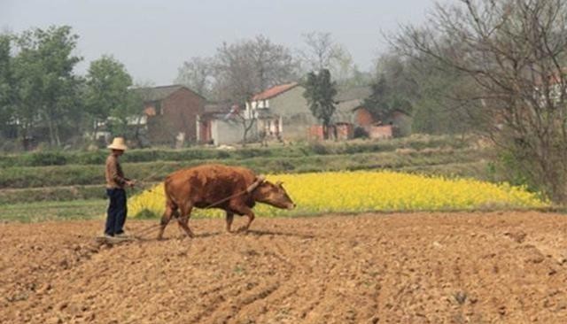 耤田$“一亩三分地”这个说法很多人都知道,但是,他的意义却鲜为人知