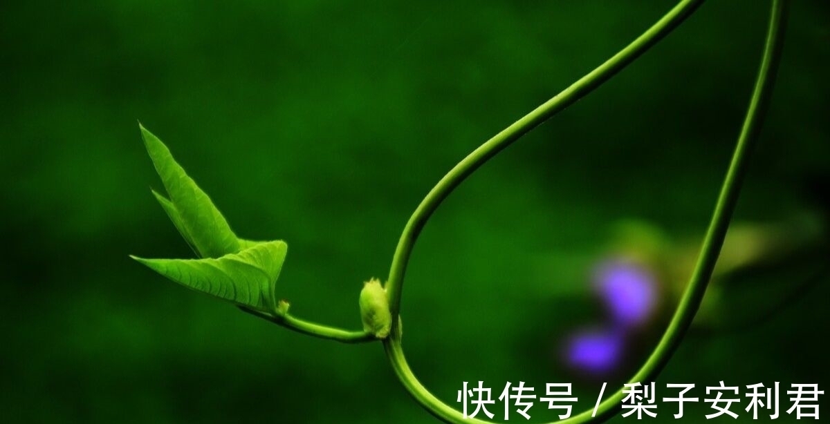 长洲苑$两首秋雨古诗词,两种不同的意蕴,哪一首能够打动你