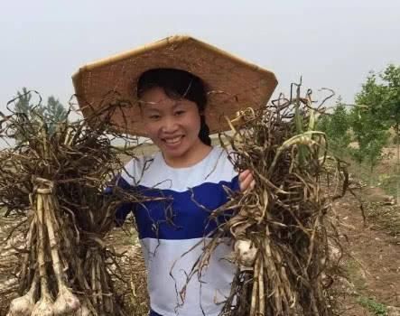 封杀 37岁草帽姐被封杀,曾开豪车炫富忘本,今回庄稼地种大蒜