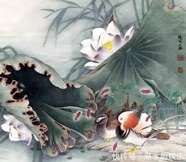 好漂亮的鸳鸯戏水图:祝愿天下有情人!