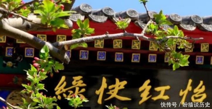 人生|看红楼梦中的相处,其实人生最不可缺的,是生活中的美学