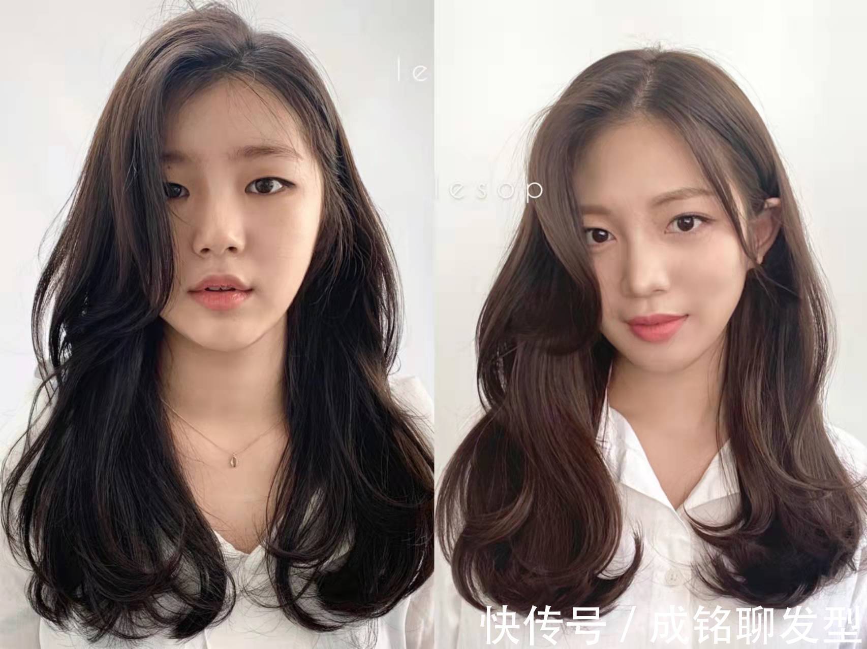 洋气|适合18岁到68岁的发色,不挑肤色不挑职业,洋气显白又有高级感