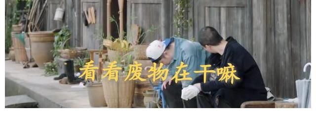 凳子|蘑菇屋来了两个“废物”拿嘴干活，黄老师何老师都不待见