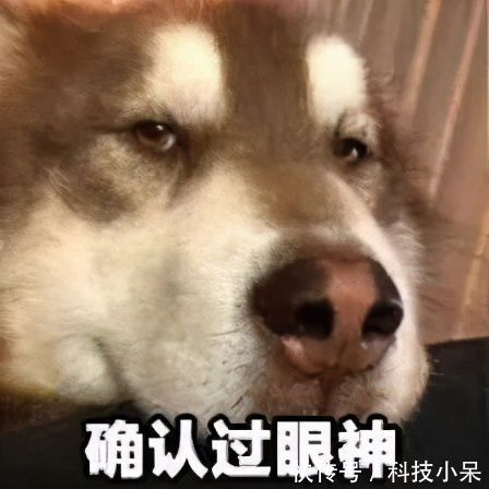 lo娘|二次元只知“J佬紫”？在动漫界，你怕是要被除名