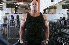 肌群|不去健身房，怎么练出一身肌肉附一周4练健身动图