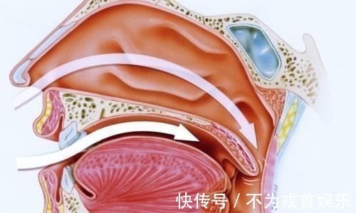患儿|所有退烧药都用过仍不退,在家里可以去医院,在医院里医生怎处理