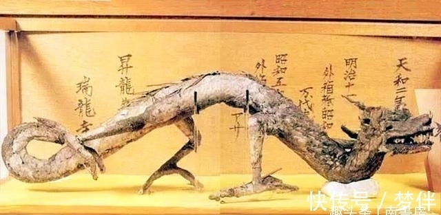 中国文化|辽宁一位老人,自称9岁时见过真的龙,临死前主动上交5块“龙骨”