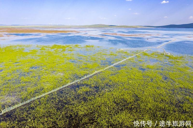 美丽的锡林郭勒大草原，最纯正的蒙元文化，最原始的游牧牧场