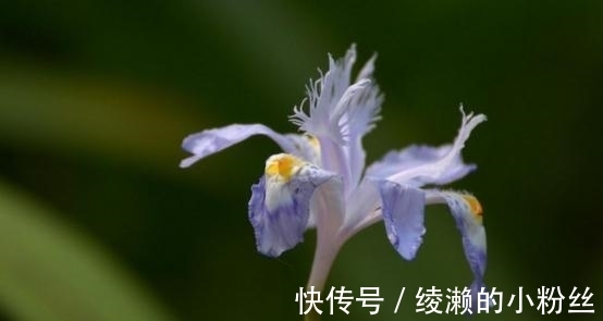 牵挂|5天后，心有牵挂，无处可避，怀念曾经，重归于好，今生不负情意