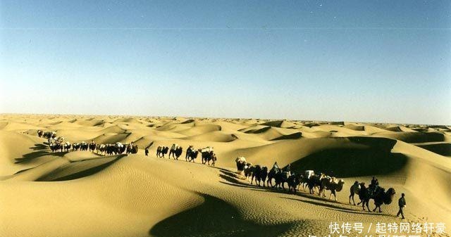 安息国|狮子不是我国本土动物，为何古建筑大门两侧总放置一对石狮子？