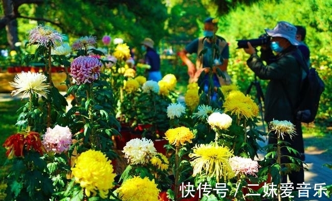 香山—植物园|香山—植物园徒步，赏缤纷花海，享受山水自然乐趣