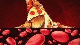 血脂|不论男女，睡前1个好习惯，人长寿，血液净如水，血管透亮不堵