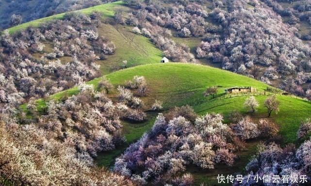 大唐|阳春三月，春回大地，三月赏花好去处