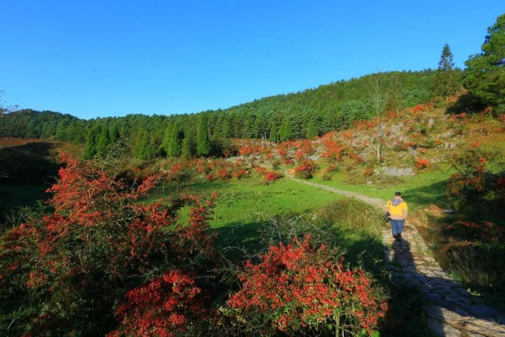 沿途|石柱这些高颜值公路建成，沿途藏着最美的山水景致！