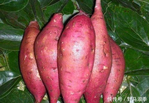 桂圆肉桂圆|8种最好的胶原蛋白,再贵女人也要舍得吃,淡化皱纹,营养又瘦身