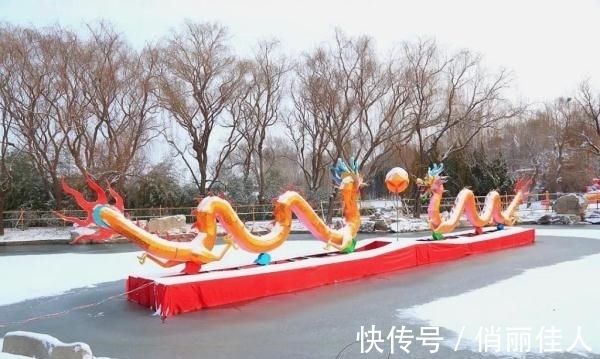 雪景|安丘最美雪景来了，无论航拍还是素颜，简直美透了！