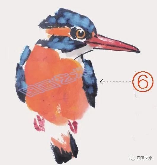  绘制出翠鸟|图文教程：轻松学画黄鹂、翠鸟