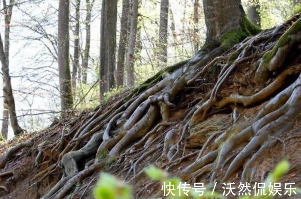 彩绘#每张图中都藏有美女找出三张视力5.2以上,特种兵全找到!