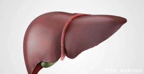 肝功|“养肝高手”找到了,不是胡萝卜,每天泡水喝两杯,给肝脏洗洗澡