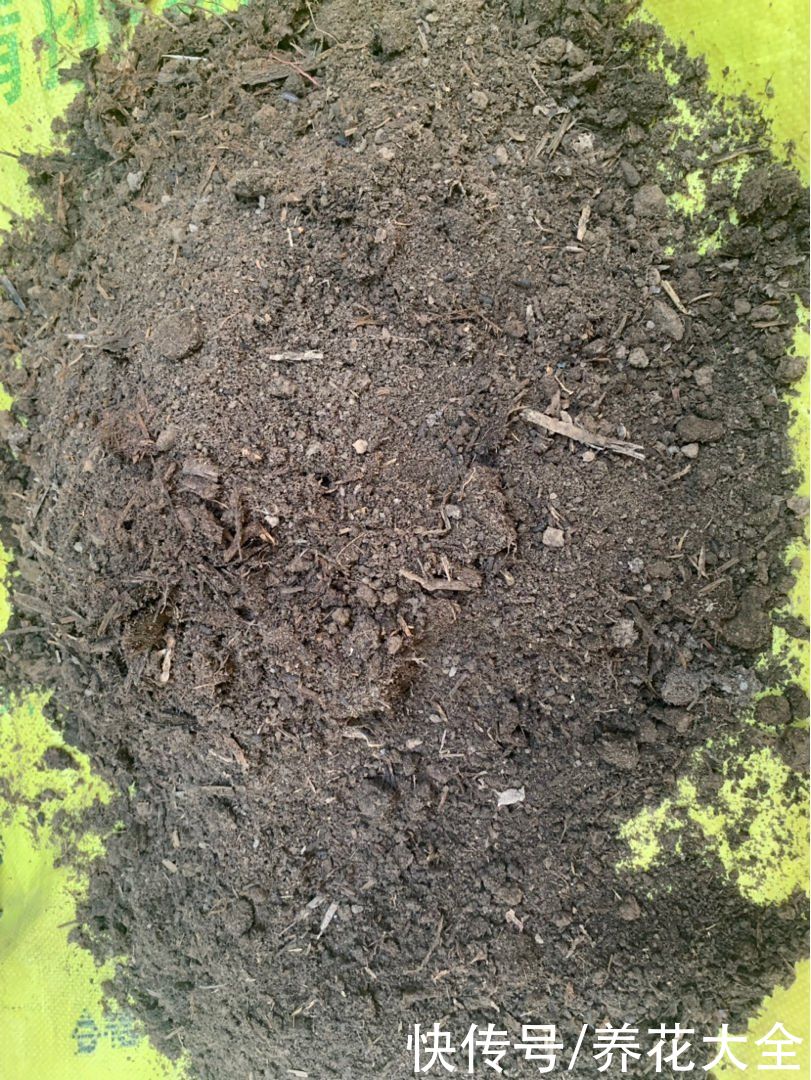 换下来的旧土别扔掉,拌上多菌灵灭菌,还能继续养花