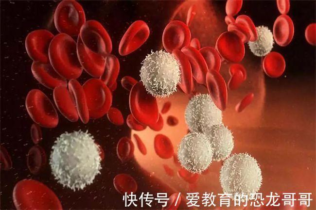 电源开关|如何预防白血病:以下方法或许受用!