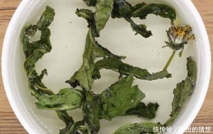 蒲公英|坚持喝蒲公英泡的水,30天左右,身体或许会“收获”3个喜事