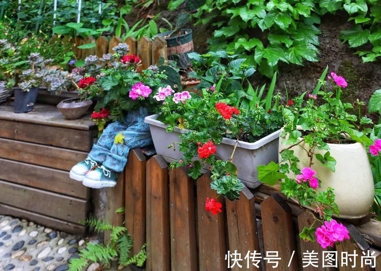 薇月|四年前,接手了朋友带120㎡院子的房子,打造成花园后朋友羡慕了