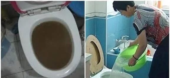 排气扇|厕纸能丢进马桶吗大部分人没做对,怪不得卫生间那么臭