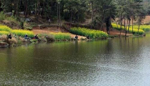 水域|野钓必杀技:揭示钓位选择秘诀,哪里鱼儿扎堆,一看便知晓!