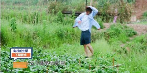 张子枫|没想到，3年过去了，黄渤还是那个黄渤，向往的生活却失去了初心