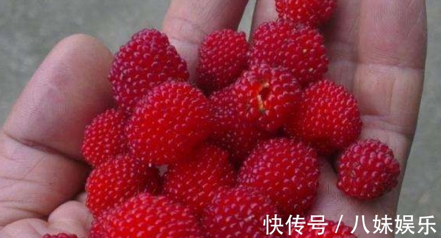 老寿星!明朝有位120岁老寿星,长寿秘诀只有“5个字”,却被后人争相模仿