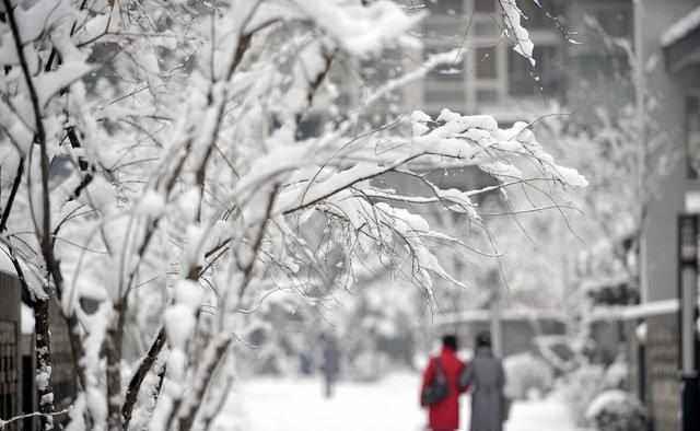 儿媳妇|产子后,婆婆未照顾月子,孙子长大,婆婆给儿媳一个本子让她签字