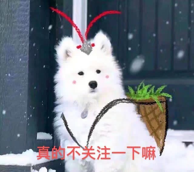 极限挑战 下期《向往的生活》太精彩!预告曝光神秘嘉宾,收视率有望创新高