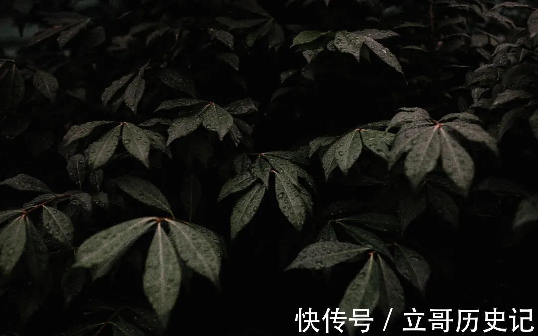 四川|治疗脂肪瘤,乳腺纤维瘤的方子,四川名中医经验总结,可缩小瘤体