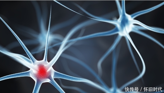 吃鸡蛋与人体胆固醇的关系,一文说清楚